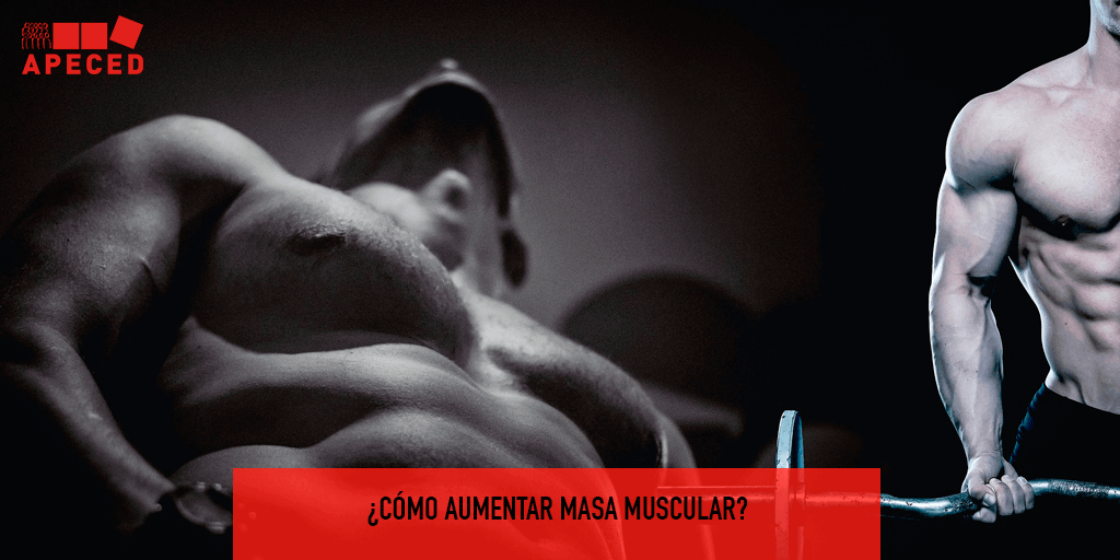 Aumentar masa muscular - Entrada blog Apeced