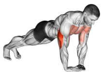 Fondos flexiones - Entrada blog Apeced