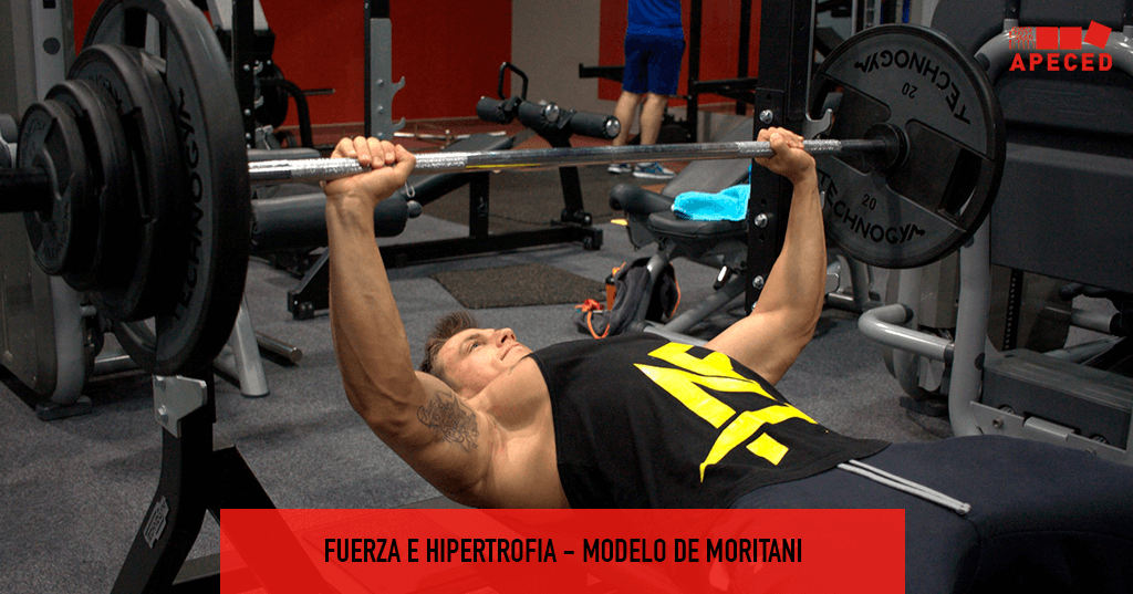 Fuerza e hipertrofia - Moritani - Entrada blog